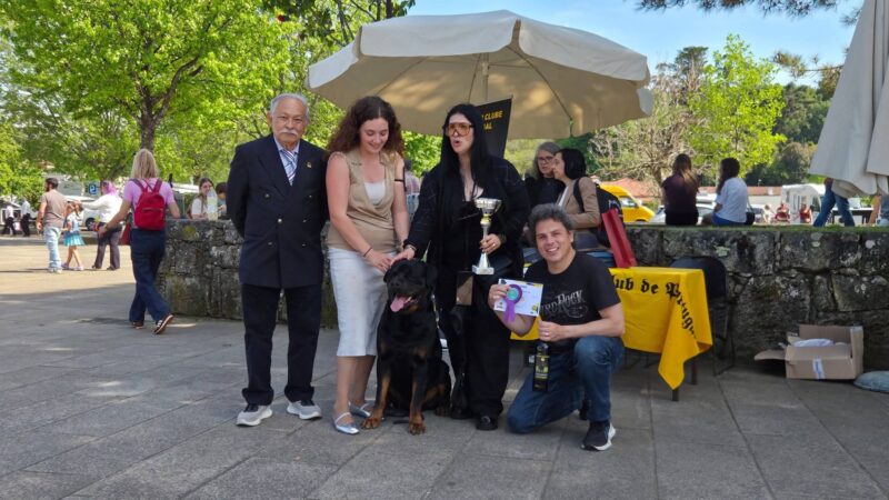 Especial Rottweiler Ponte de Lima